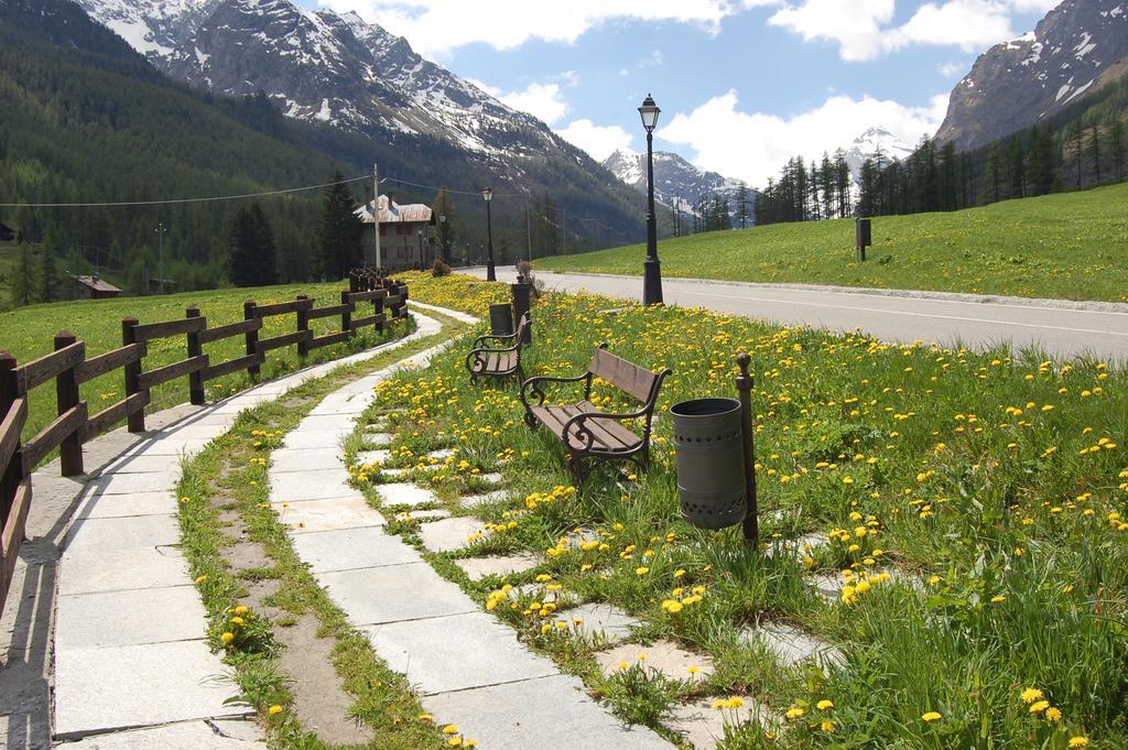 Case Gran Paradiso Rhemes Notre Dame Eksteriør billede